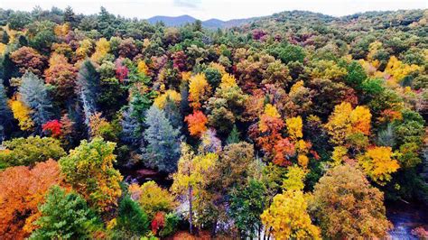 Mountain Wonders: Hidden Waterfalls and Fall Colors in North Georgia | Official Georgia Tourism ...