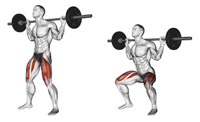 Exercise Database (Legs1) - Barbell Back Squats — Jase Stuart - The ...