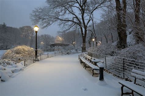 Central Park in snow storm stock photo. Image of lamp - 18554514