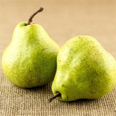 PEARS WILLIAM LARGE NEW SEASON | Zone Fresh