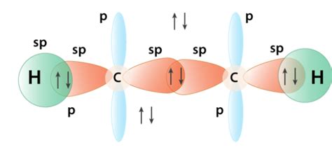 What is the type of hybridization present in acetylene molecule? What ...