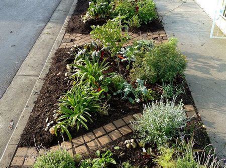 9 Median strips ideas | drought tolerant landscape, xeriscape, front yard landscaping