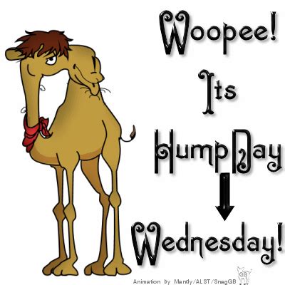 Woopee It's Hump Day Wednesday | Morning quotes funny, Good morning wednesday, Funny wednesday memes