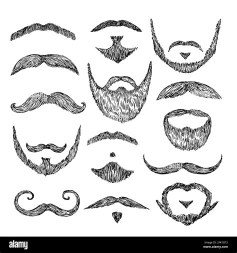 Sketch mustache. Drawing facial hair. Isolated patch mustaches, retro ...