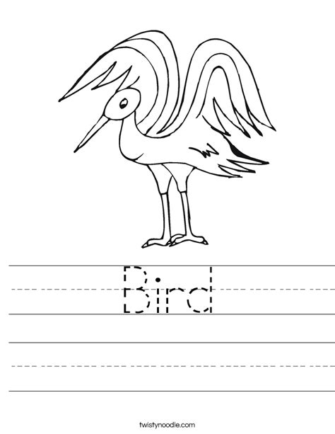 Bird Worksheet - Twisty Noodle