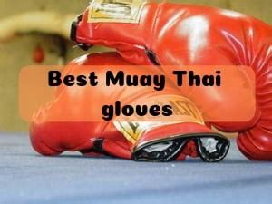 The 8 Best Muay Thai gloves reviews for 2020 and Buyer's Guide