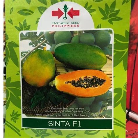 sinta hybrid papaya seeds, For Fruits, Packaging Size: 10G at Rs 358 ...