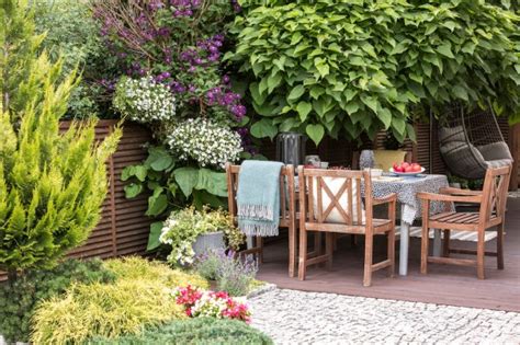 Small border planting ideas with high impact | Thompson & Morgan Blog