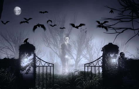 Download Trick or Treat Through the Haunted Graveyard! Wallpaper | Wallpapers.com