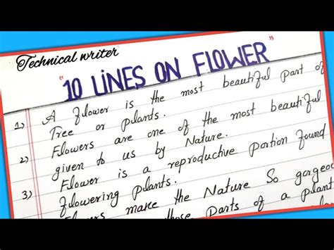 I Am Flower Essay | Best Flower Site