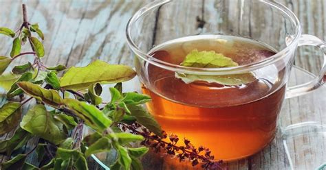 Science Says Tulsi Tea Is The Healthy Winter Drink You Need