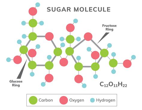 What is Sugar? What is Sucrose? - The Sugar Association