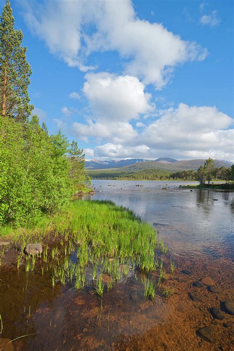 Loch Morlich, Aviemore, Highland by Dennis Barnes