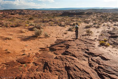 Coyote Gulch Day Hike - Greg Willis