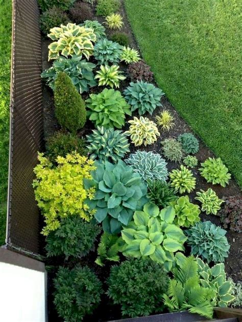 60 Low Maintenance Front Yard Landscaping Ideas #FrontHomeLandscaping ...