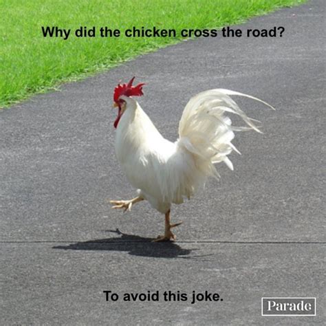 Why Did The Chicken Cross The Basketball Court Math Workshee