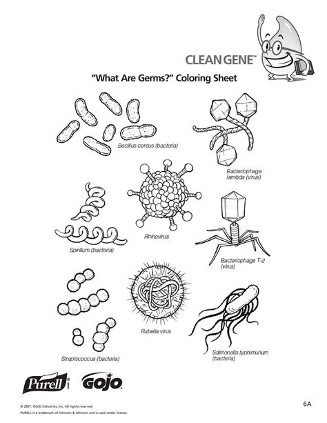 Free Printable Germs Worksheets Printables - Printable Word Searches