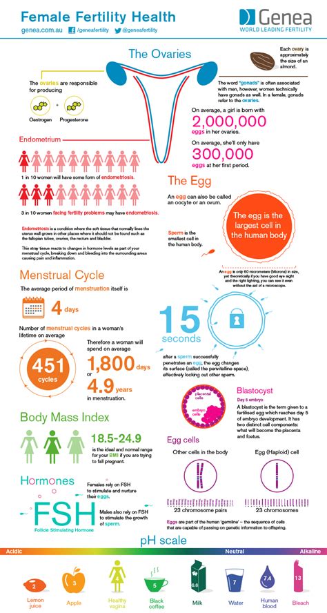 Female Fertility Health #infographic - Visualistan