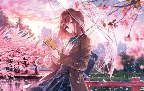 Anime Cherry Blossom Girl Wallpapers - Top Free Anime Cherry Blossom ...