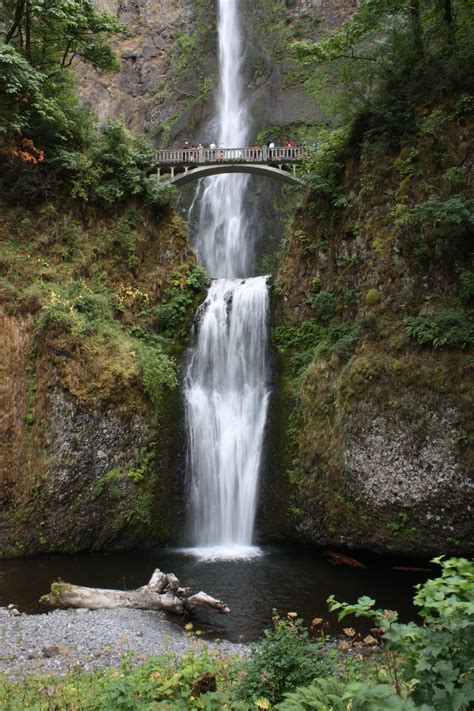 Multnomah Falls | Multnomah falls, Multnomah falls oregon, North america travel