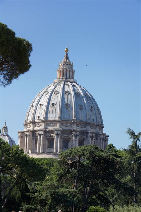 St. Peter's Dome from the Vatican Gardens (photo by Peggy Mooney ...