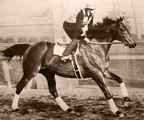 File:Seabiscuit workout with GW up.jpg - Wikipedia