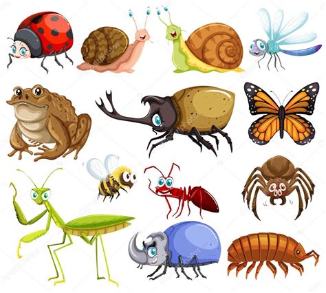 Different kinds of bugs — Stock Vector © blueringmedia #125361916