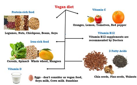 Vegan diet - how vegans can get the best nutrition? - Health Vision Articles