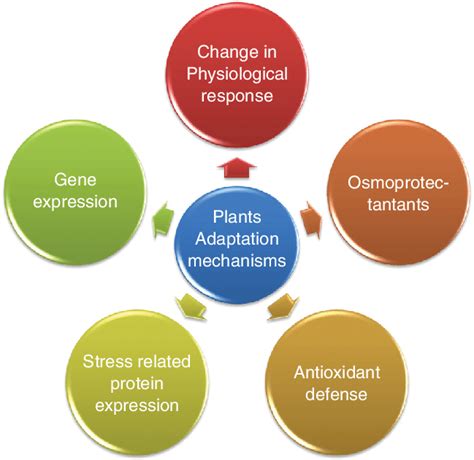 12 Adaptation mechanisms of plants toward abiotic stress. | Download Scientific Diagram