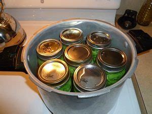 Pioneering Today-How to Use a Pressure Cooker and Green Bean Canning Tutorial | Melissa K. Norris