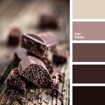 colour of milk chocolate | Color Palette Ideas