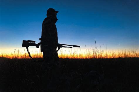 Night Hunting for Predators Will Help Your Deer Herd - North American Whitetail