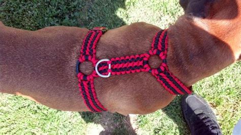 The Paracord Blog: Paracord: A Dog's Best Friend