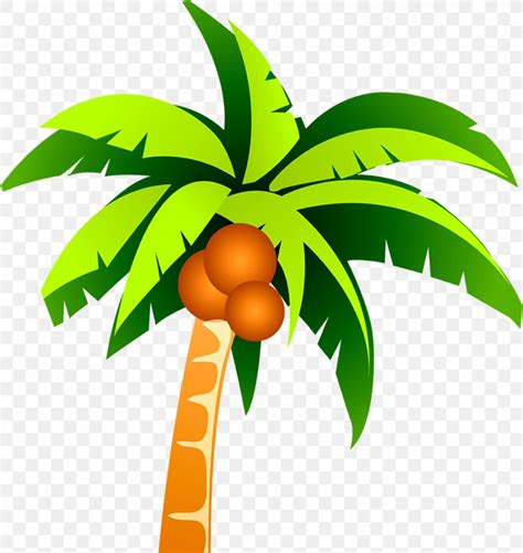 Coconut Tree Clip Art, PNG, 2946x3119px, Coconut, Arecaceae, Branch, Cartoon, Coreldraw Download ...