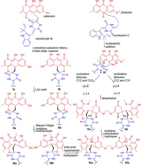 Scheme 1. Proposed Biosynthetic Pathway of Compounds 1−3 | Download ...