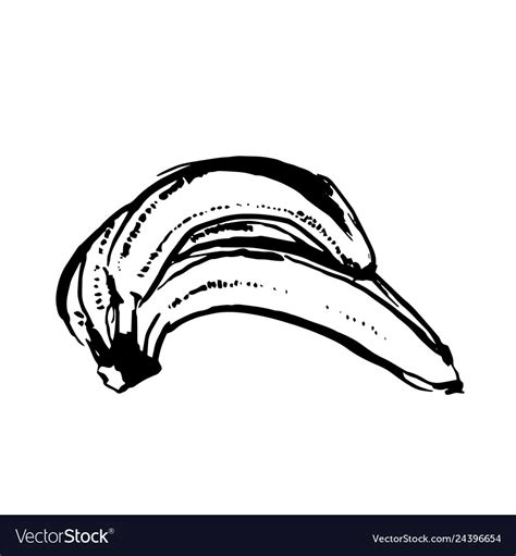 Hand drawn black color sketch of banana Royalty Free Vector