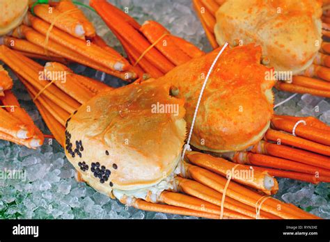 Snow crab japan hi-res stock photography and images - Alamy