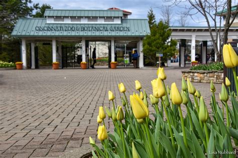 See All the Pretty Colors of Cincinnati Zoo & Botanical Garden's Annual ...