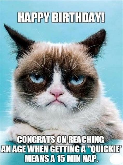 101 Funny Cat Birthday Memes for the Feline Lovers in Your Life