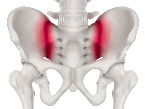 Sacrococcygeal Joint