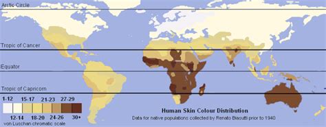 Skin Color and UV Index | Cultural Anthropology