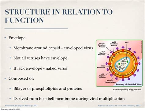 Virology lecture 2 (viral structure)