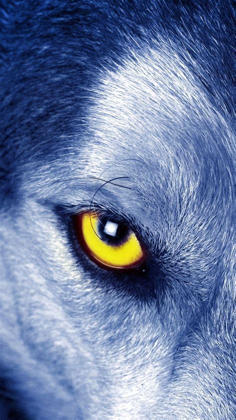 Wolf Eyes Wallpapers - Top Free Wolf Eyes Backgrounds - WallpaperAccess