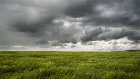 green grass field under gray sky #Agua #de #mayo green grass grass ...