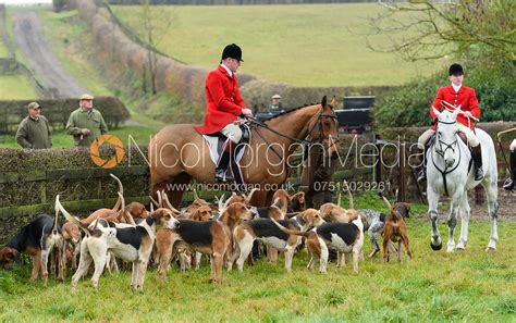 Image: At the meet. The Essex & Suffolk Hunt at Manor Farm 21/11 | Nico ...