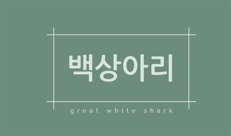 백상아리(great white shark)특징,서식지,종류,천적,수명,몸무게,꿈해몽