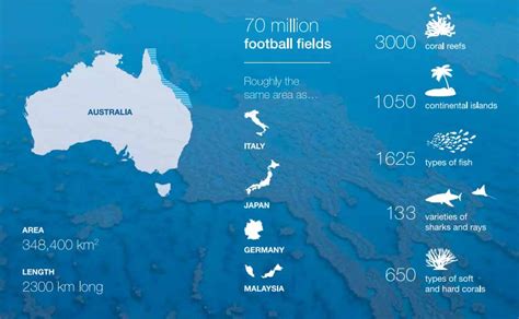 Great Barrier Reef Facts - Travel NQ