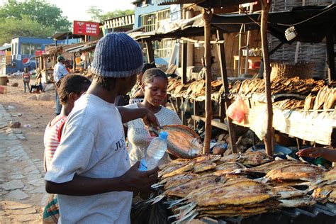 Strengthening Food Systems in Zambia – Global Panel