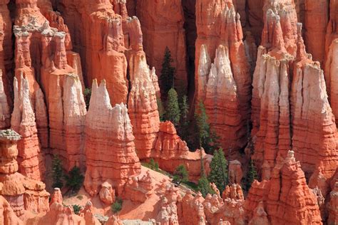 Gallery: Bryce Canyon National Park ~ Utah Red Rocks