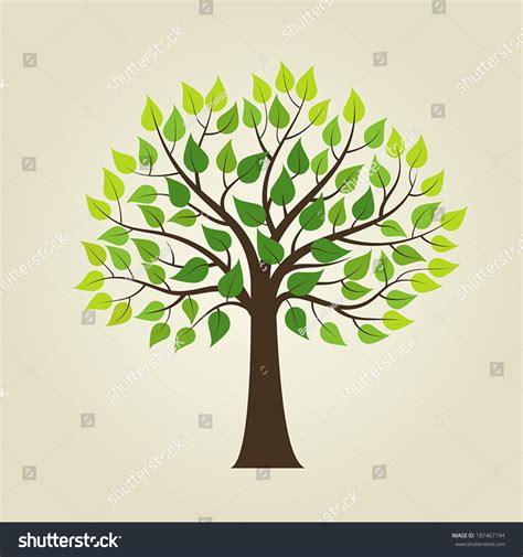 Tree Isolated On White Background Stock Vector (Royalty Free) 187467194 | Shutterstock